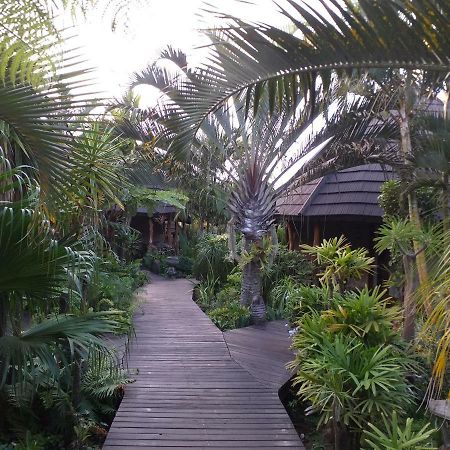 Lodge Afrique Japaratinga Ngoại thất bức ảnh