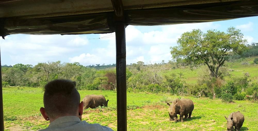 Lodge Afrique Japaratinga Ngoại thất bức ảnh