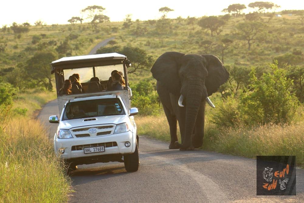 Lodge Afrique Japaratinga Ngoại thất bức ảnh