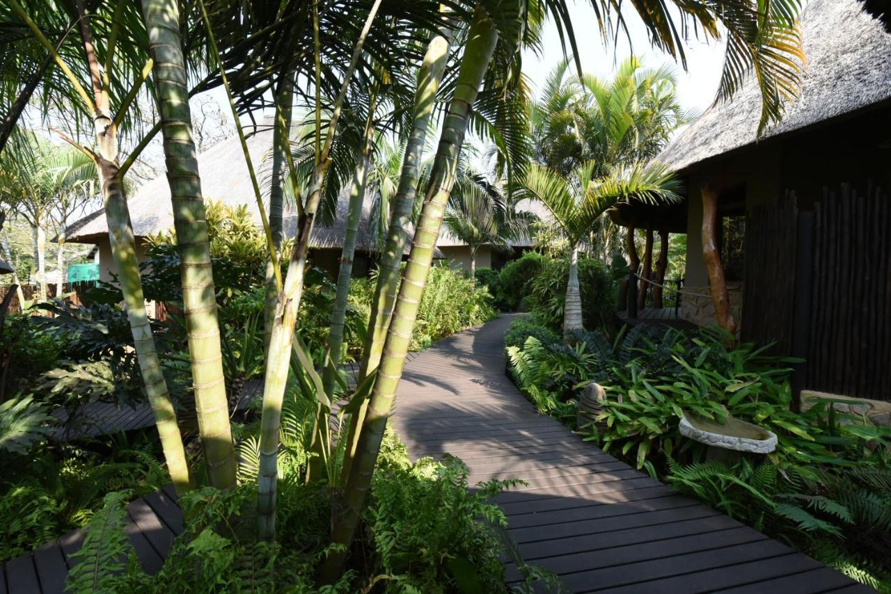 Lodge Afrique Japaratinga Ngoại thất bức ảnh