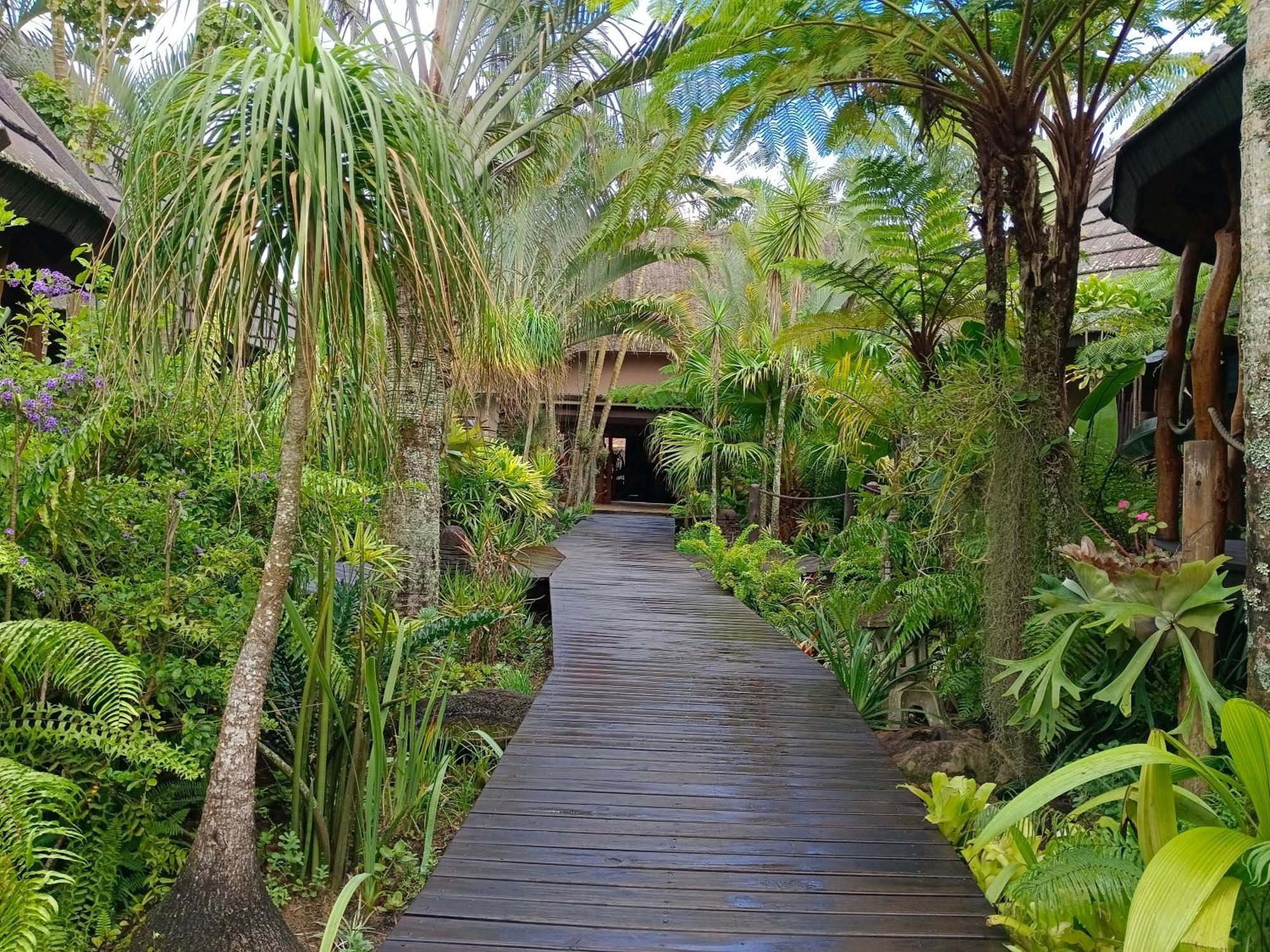 Lodge Afrique Japaratinga Ngoại thất bức ảnh