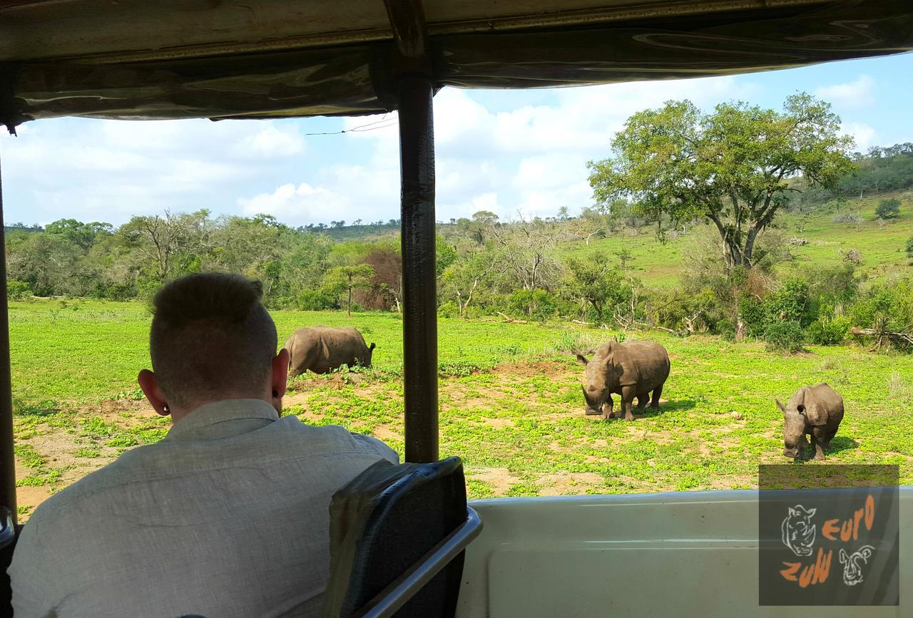 Lodge Afrique Japaratinga Ngoại thất bức ảnh