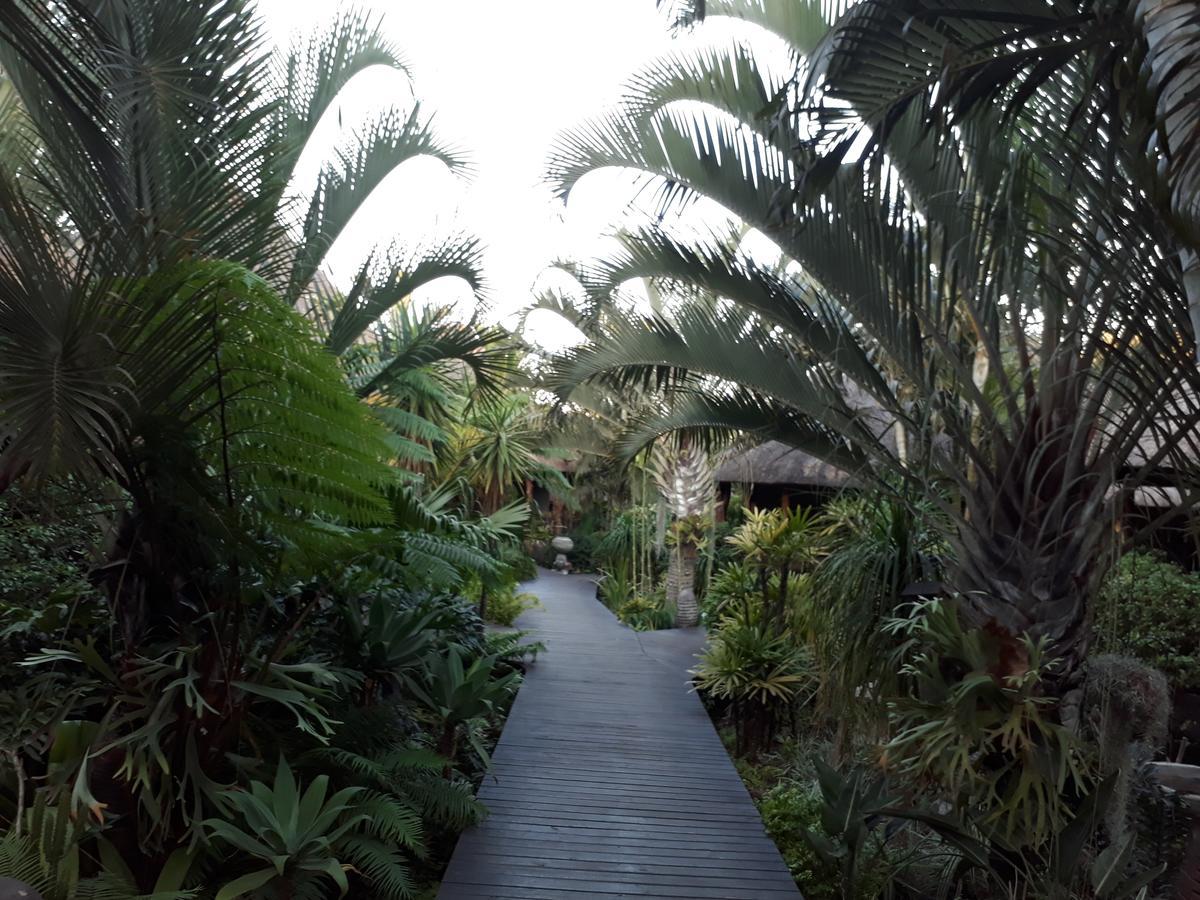 Lodge Afrique Japaratinga Ngoại thất bức ảnh