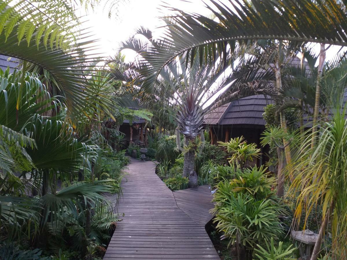 Lodge Afrique Japaratinga Ngoại thất bức ảnh