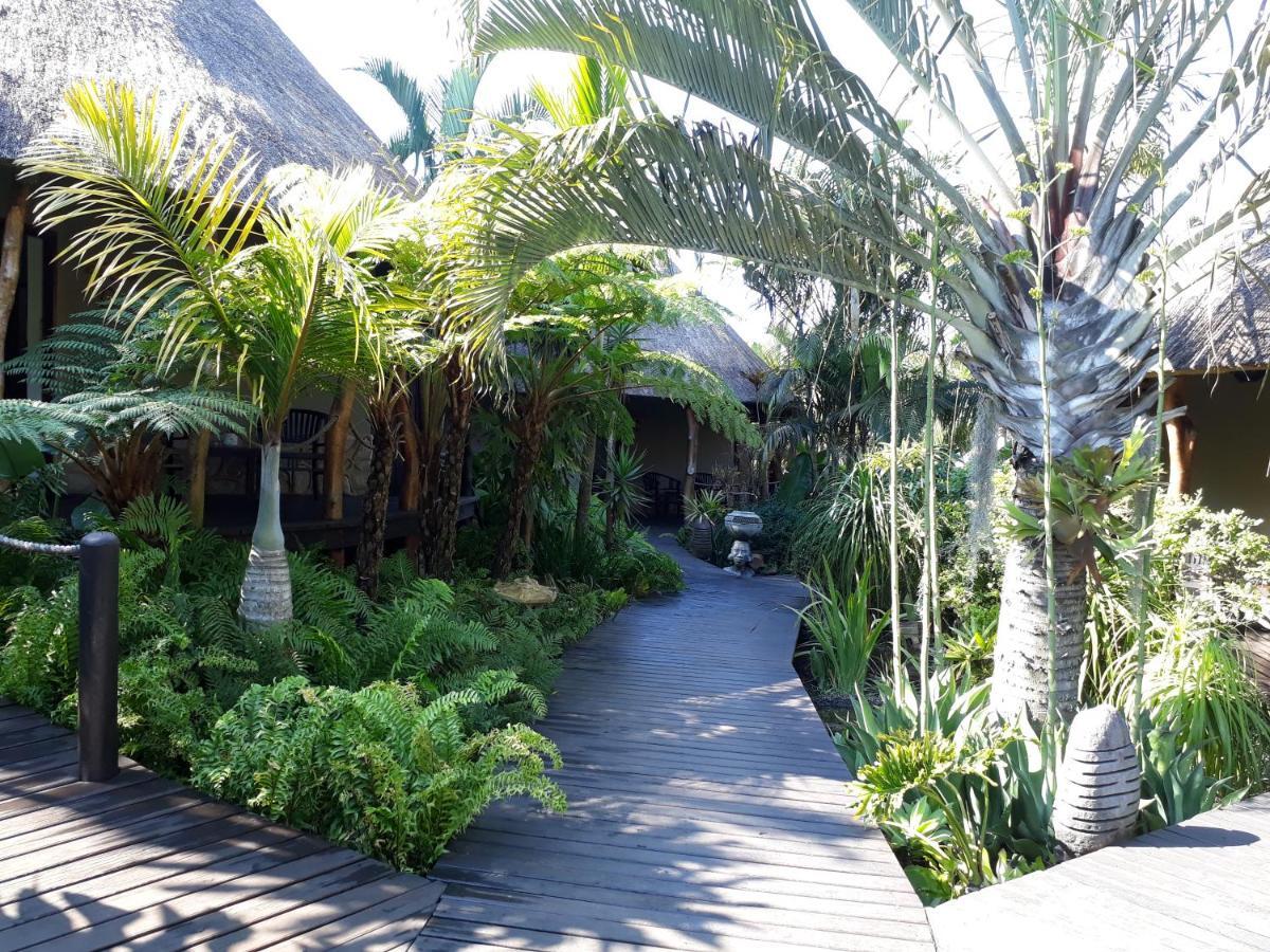 Lodge Afrique Japaratinga Ngoại thất bức ảnh