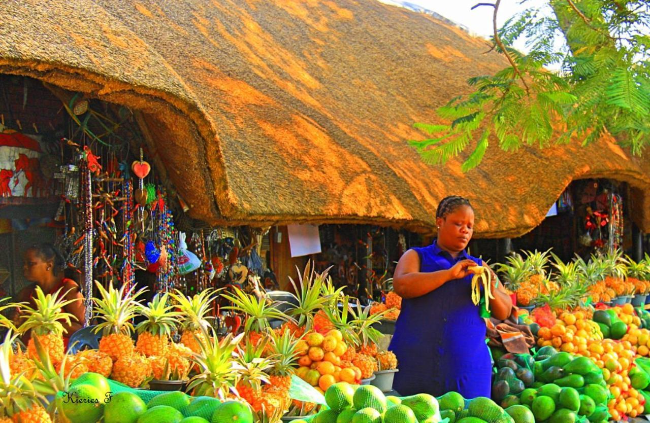 Lodge Afrique Japaratinga Ngoại thất bức ảnh